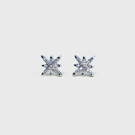 Boucles d'oreilles à tige Kamani « Ice Star »